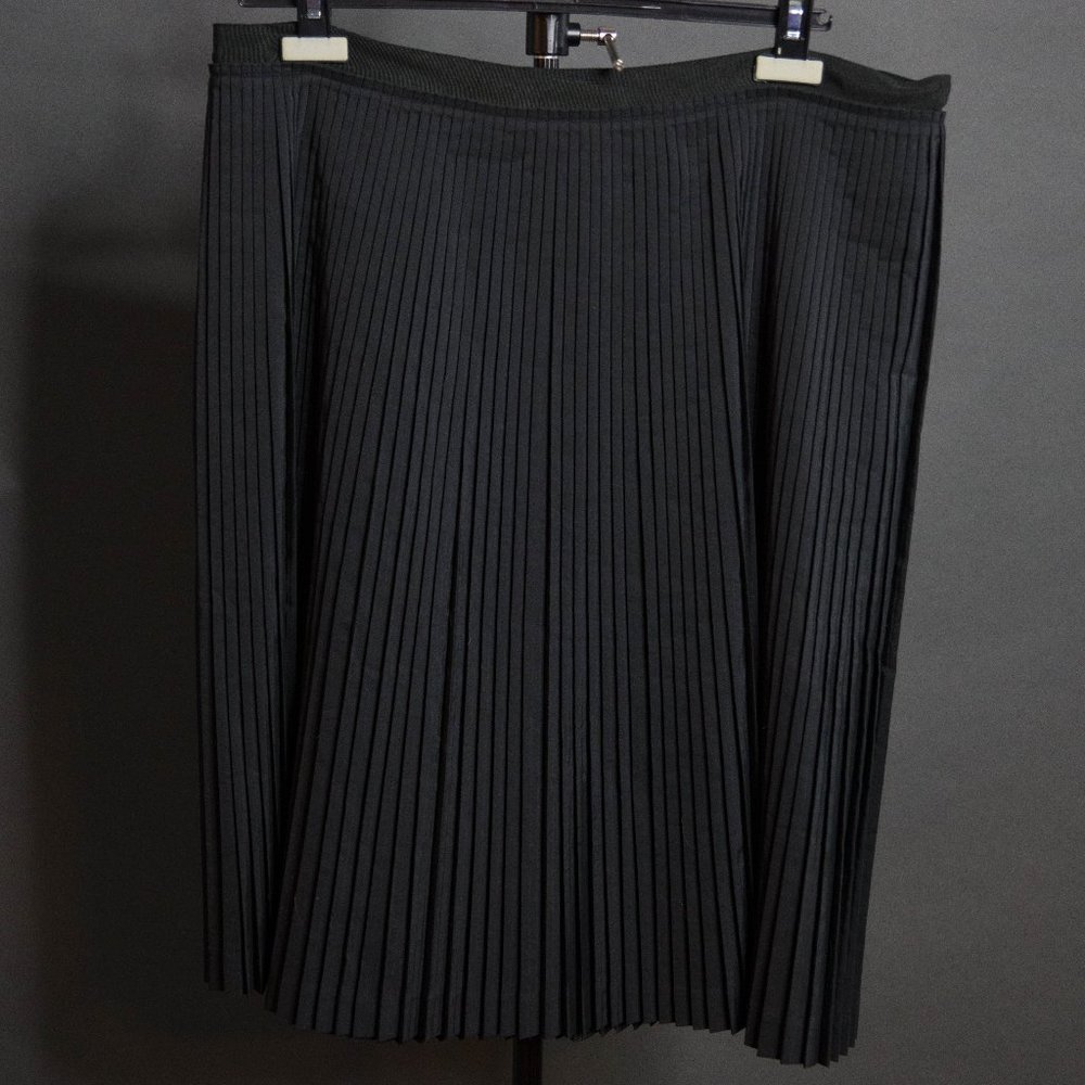 Banana Republic Pleated Skirt